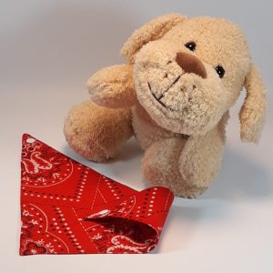 red hankerchief bandana