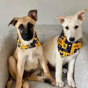 For Dogs and Puppies